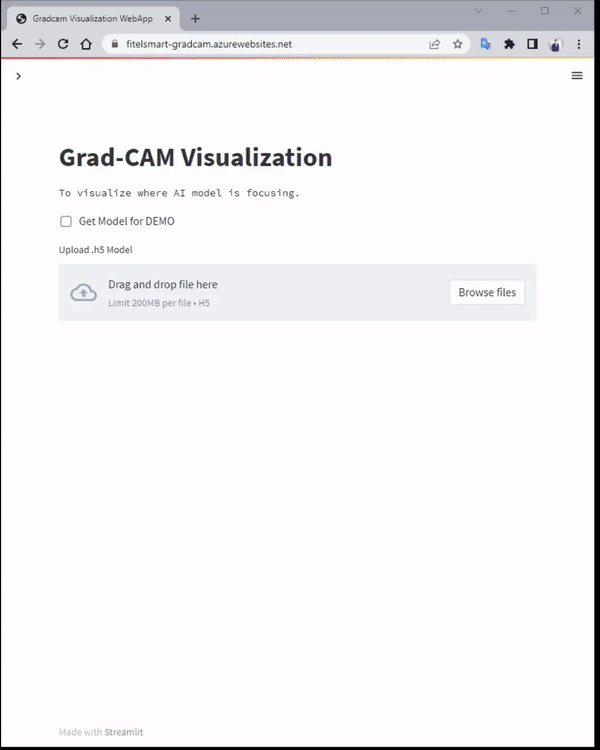 Grad-CAM Visualization